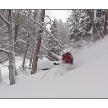 Januari 2012. Foto: Ulf Graipe. &Aring;kare: Fredrik Edwall.