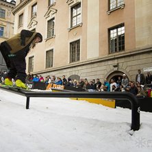 Winter Show i Kungstr&auml;dg&aring;rden 2014.. Foto: Hedda Berander.