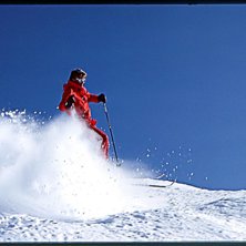 Foto: (c) 2006 Stefan Bogren. &Aring;kare: Stefan Bj&ouml;rseg&aring;rd.