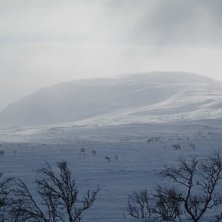 Cool v&auml;derbild.. Foto: Richard Kingfelt.