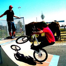 En barspin-to-fakie. OBS ! Titta p&aring; elefanterna i. Foto: Viktor Pettersson. &Aring;kare: jaug.