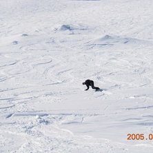 Foto: Paul. &Aring;kare: Jim.