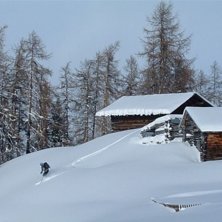 Plan Bois. Foto: Daniel Salomonsson. &Aring;kare: H&aring;kan Karlsson.