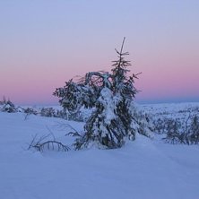 S&aring; h&auml;r ser det ut utanf&ouml;r kommersen i S&auml;len.. Foto: Papparazzi P-O.
