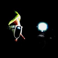 Foto: Marcus. &Aring;kare: Mirkki.