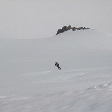 California in May, first tracks down Mt. Lassen.... Foto: Tim Edge. &Aring;kare: Thomas.