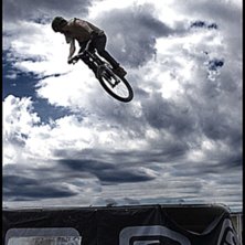 &Ouml;rnexpo m&auml;ssan uppvisning/t&auml;vling
kom p&aring; 2a p. Foto: daniel nordin. &Aring;kare: anton roos.