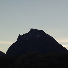 Toulpagourni st&aring;r och v&auml;ntar p&aring; en bild just ef. Foto: Jon Nilsson. &Aring;kare: ***.