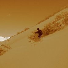 R&aring;kade gl&ouml;mma bort sepiainst&auml;llningen sen en te. Foto: Niklas Ruthner. &Aring;kare: Jappe.