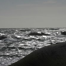 Bl&aring;sigt. Foto: Lars Walker.