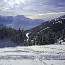 Backcountry riding i Leysin. Foto: H&aring;kan Cervin. &Aring;kare: saknas.