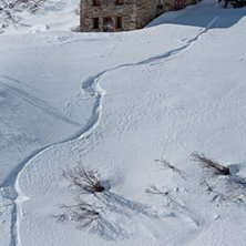 Foto: Anna Holmquist. &Aring;kare: Tomas Pettersson.