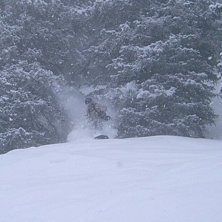 Foto: Amalis Jesper. &Aring;kare: Kalle P.