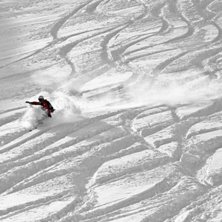 f/11
1/800s
ISO 200
55 mm. Foto: Hedda Berander. &Aring;kare: Ida Pellmyr.