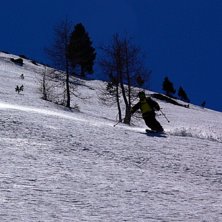 Foto: short dutch. &Aring;kare: arvd larsson.