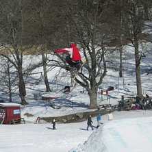 En till mute. Foto: Christoffer &Ouml;stman. &Aring;kare: Sebastian T&ouml;rnblom (Jag).