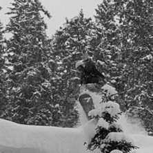 H&auml;rliga TreeRuns... Foto: Markus Alatalo. &Aring;kare: Anders Baatz.