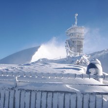 Ganska n&ouml;jd med bilden. &Auml;ven om den kanske blev . Foto: Karl Svenningsson.