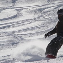 Foto: Stefan Johansson. &Aring;kare: Herman Johansson.