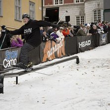 Winter Show i Kungstr&auml;dg&aring;rden 2014.. Foto: Hedda Berander.