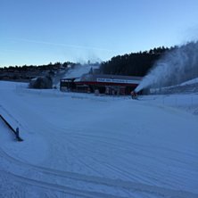 Julesn&oslash;en er reddet
Kulda har gjort det mulig &aring; .