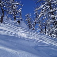 Foto: thomas Thenander. &Aring;kare: steven.