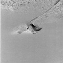 En sk&ouml;n dag med en massa nysn&ouml; f&ouml;r snart en her. Foto: Nicke Jarnhed. &Aring;kare: Per Jonsson.