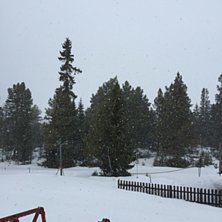 En ny vinter
Det laver ned her hos oss i dag! .