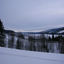 Foto: Johanna M&aring;rtensson. &Aring;kare: ingen vad jag ser.