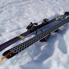 Foto: Peder Lundberg. &Aring;kare: Marker the Duke.