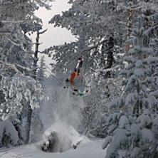 samma stubbe annat trick. Foto: Christoffer wasteg&aring;rd. &Aring;kare: Johan dahlstedt.