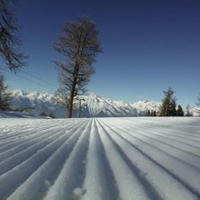 Foto: Jonas Hagstr&ouml;mer.