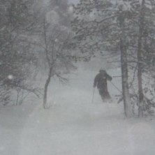 Foto: Clas. &Aring;kare: Jag.