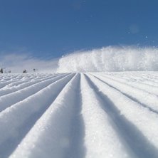 Foto: Stefan Eriksson.