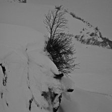 Foto: Christian Eriksson. &Aring;kare: Rasmus Hammar.