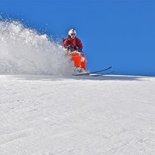 Lite f&auml;rska sv&auml;ngar.. Foto: Filip W&auml;stberg. &Aring;kare: Martin Jemdahl.