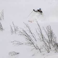 Foto: Olof Zandren. &Aring;kare: Henrik Johansson.