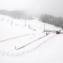 PUDDER-PUDDER-PUDDER...
40 cm nysn&oslash; i dag, kun ba.