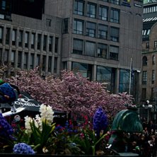 Foto: Felix Grunert.