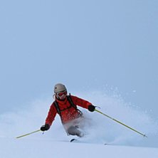 Foto: Johan Sk&ouml;ld.