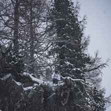 Tillsammans trotsande v&auml;drets makter..