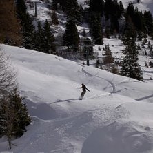 C&amp;#039;&eacute;te moi, kommer ut ur skogen vilken va. Foto: Tomas Carlsson. &Aring;kare: Lina Carlsson.