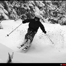 Bilden &auml;r tagen vecka 14 - 2006.. Foto: Emil Gustafson. &Aring;kare: Andreas Johansson.