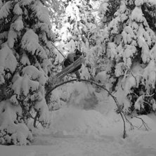 Foto: Kristian Engstr&ouml;m. &Aring;kare: Linus Stevrin.