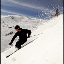Sk&ouml;n slask&aring;kning p&aring; musberget.. Foto: Johan Schedin. &Aring;kare: Johan Olsson.