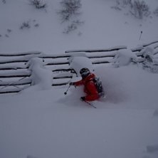 Foto: Robert Hortlund. &Aring;kare: Rikard Fenberg.