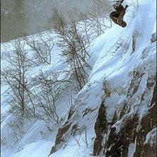 David drar p&aring; en fram&aring;tvolt nerf&ouml;r en klippa i . Foto: Daniel Johansson. &Aring;kare: David Olofsson.