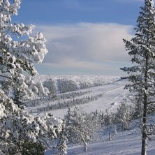 En vy &ouml;ver Hundfj&auml;llet med Tand&aring;dalen i bakgrun. Foto: Mikael Nilsson. &Aring;kare: ingen.