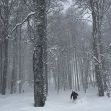 Krasnaya Polyana Foto