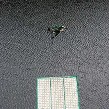 Nu &auml;r det sommar, Nu &auml;r det vattenhopp, Nu &auml;r d. Foto: Erik Larsson. &Aring;kare: Olle Eriksson.